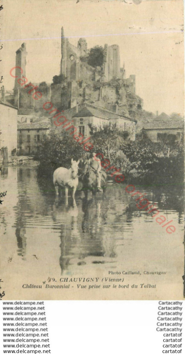 86.  CHAUVIGNY .  Château Baronnial. Vue Prise Sur Le Bord Du Talbat - Chauvigny