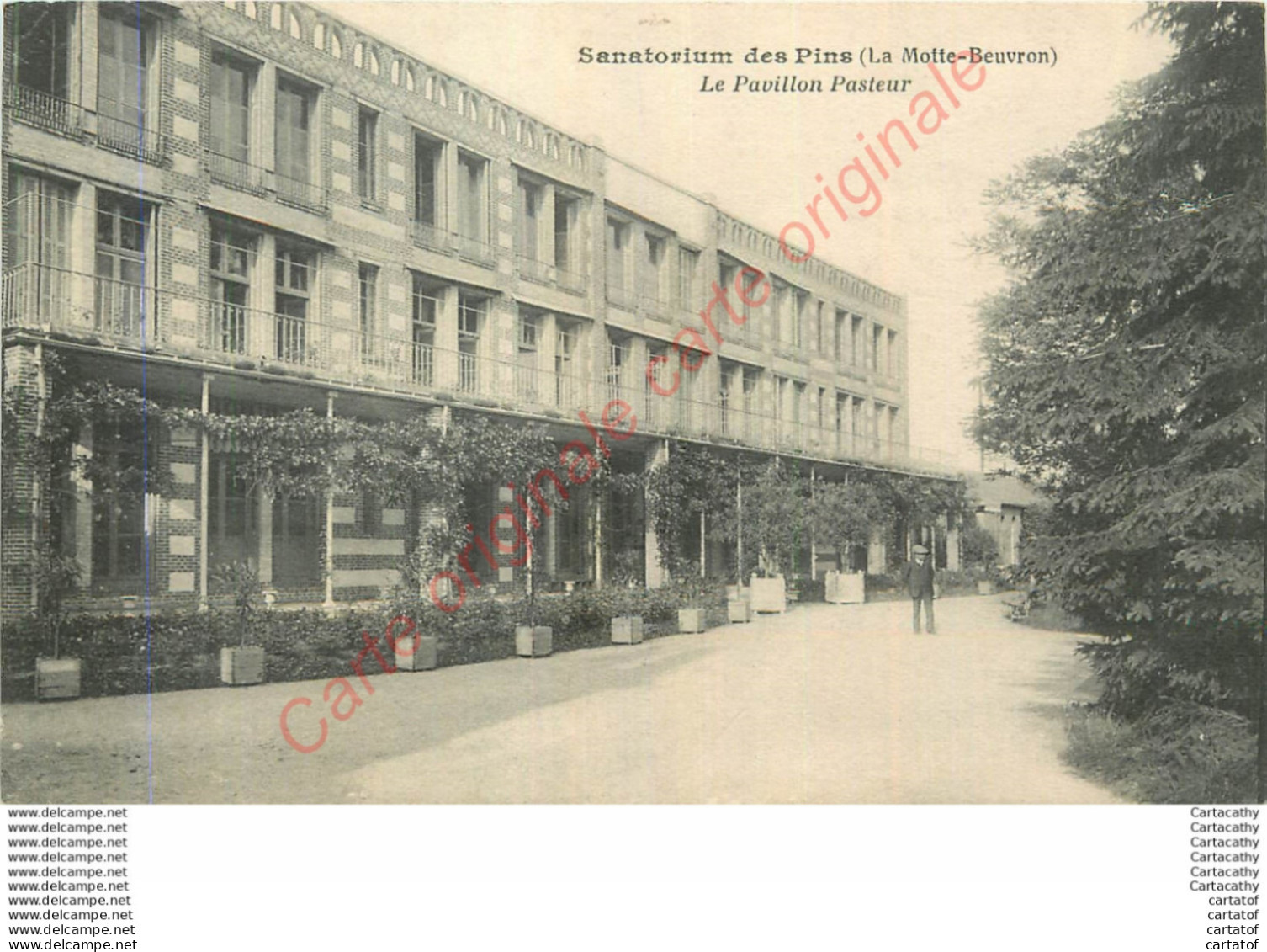 41. LA MOTTE BEUVRON .  Sanatorium Des Pins .  Le Pavillon Pasteur . - Lamotte Beuvron