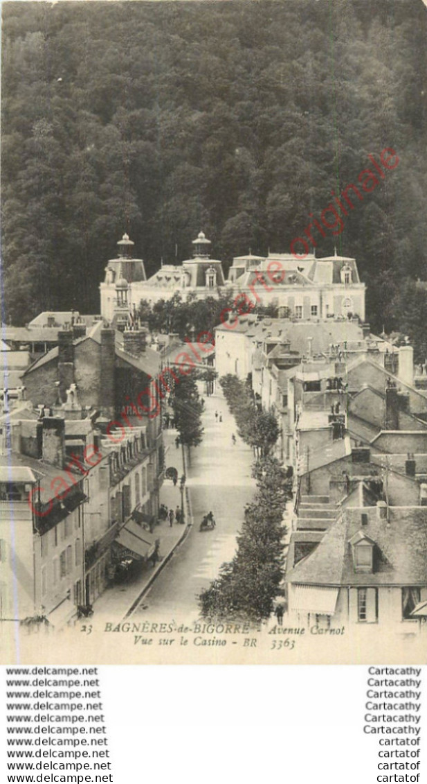 65.  BAGNERES De BIGORRE .  Avenue Carnot . Vue Sur Le Casino . - Bagneres De Bigorre