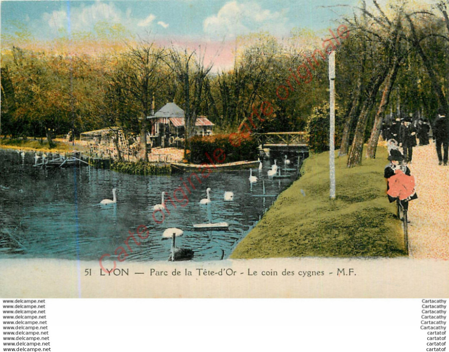 69.  LYON .  Parc De La Tête D'Or . Le Coin Des Cygnes . - Autres & Non Classés