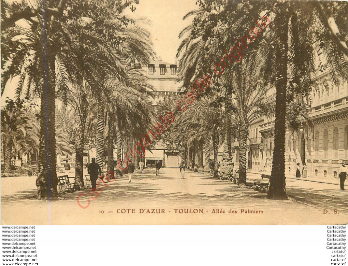 83.  TOULON .  Allée Des Palmiers . - Toulon