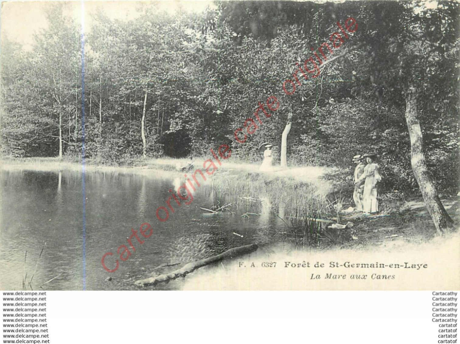 78.  Foret De SAINT GERMAIN EN LAYE .  La Mare Aux Canes . - St. Germain En Laye