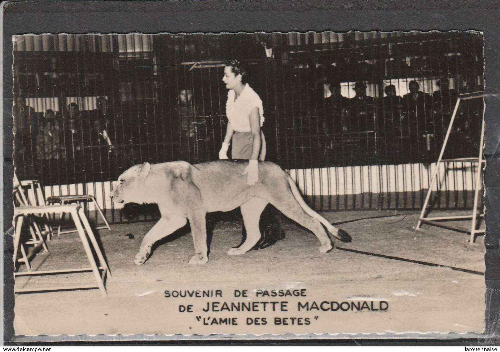Cirque - Souvenir De Passage De Jeannette Macdonald "L' Amie Des Bêtes" - Circo