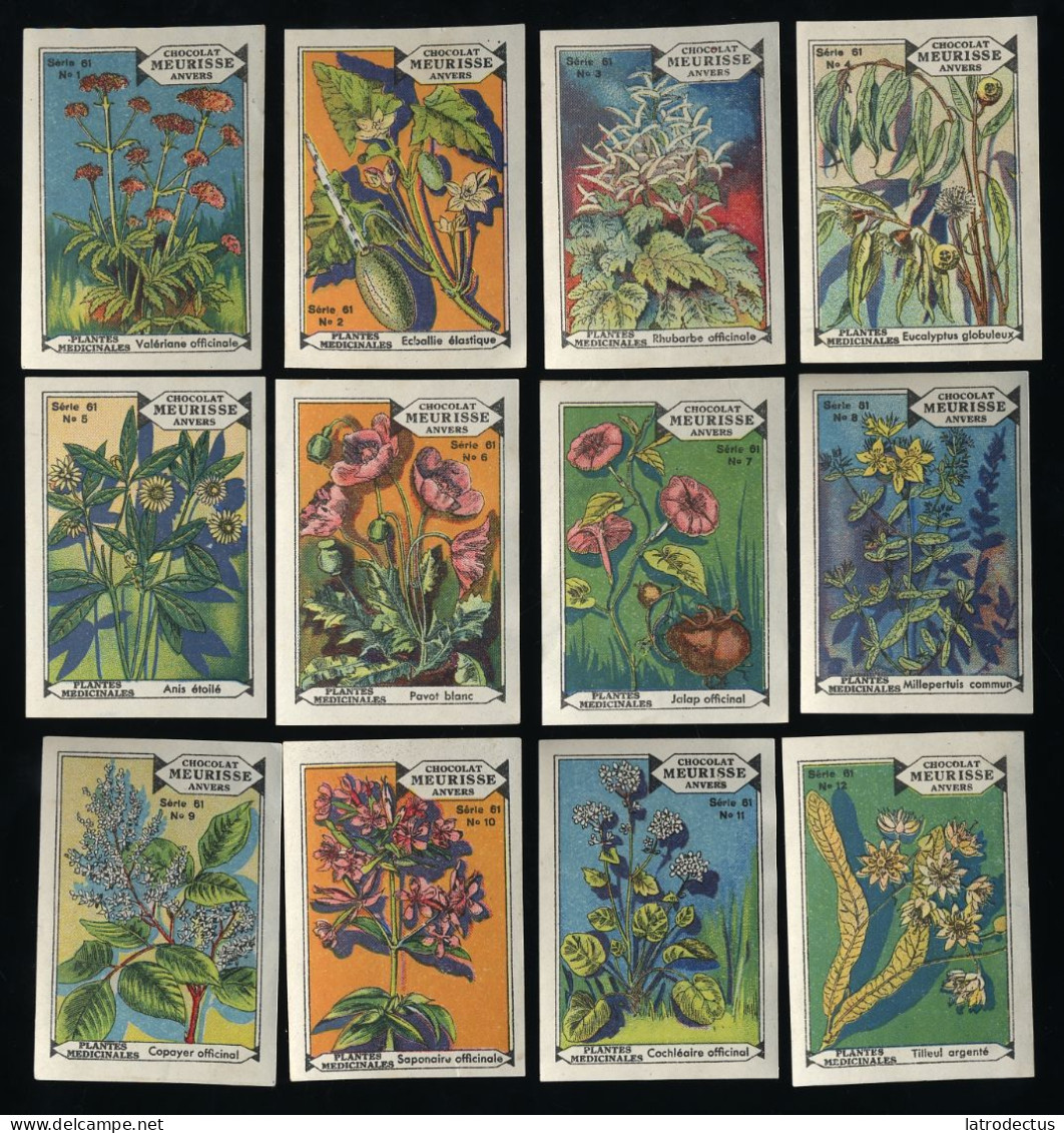 Meurisse - Ca 1930 - 61 - Plantes Médicinales, Medicinal Plants - Full Serie - Other & Unclassified