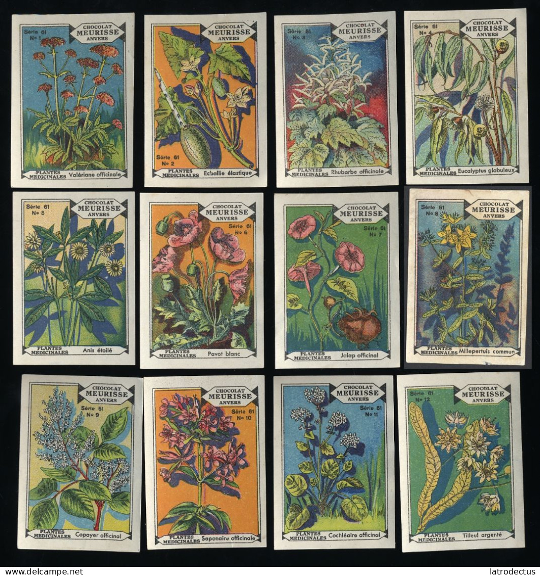 Meurisse - Ca 1930 - 61 - Plantes Médicinales, Medicinal Plants - Full Serie (no 8 Bad Condition) - Other & Unclassified