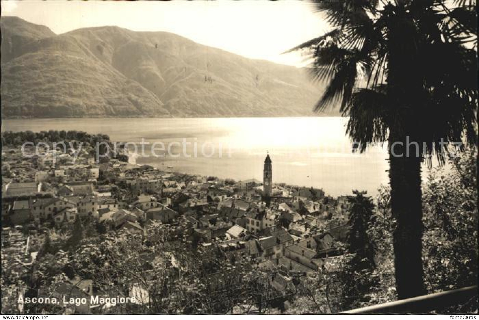 12430914 Ascona TI Lago Maggiore Ascona - Andere & Zonder Classificatie