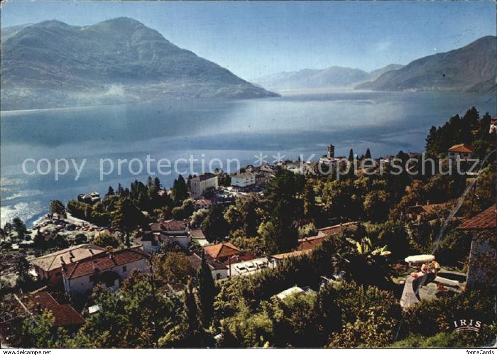 12430154 Brissago TI Panorama Lago Maggiore Alpen Brissago - Autres & Non Classés