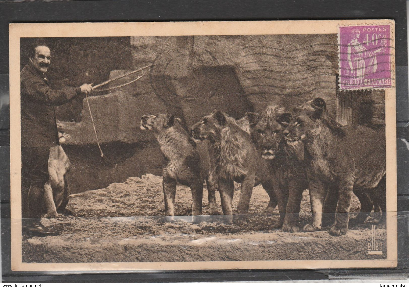 Cirque - Parc Zoologique Du Bois De Vincennes - Un Groupe De Lions Devant Leur Gardien - Circo