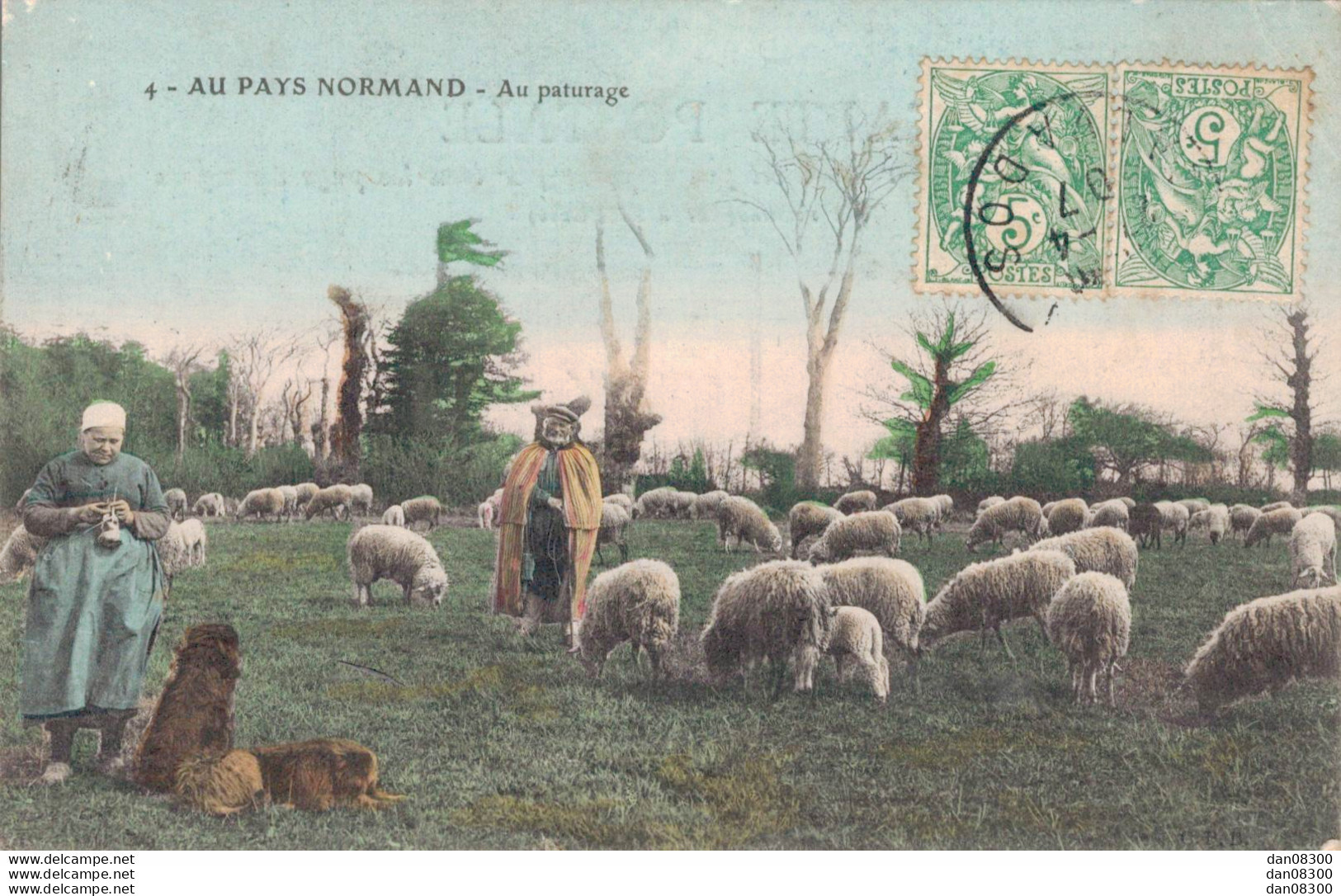 AU PAYS NORMAND AU PATURAGE TROUPEAU DE MOUTONS ET BERGER - Allevamenti