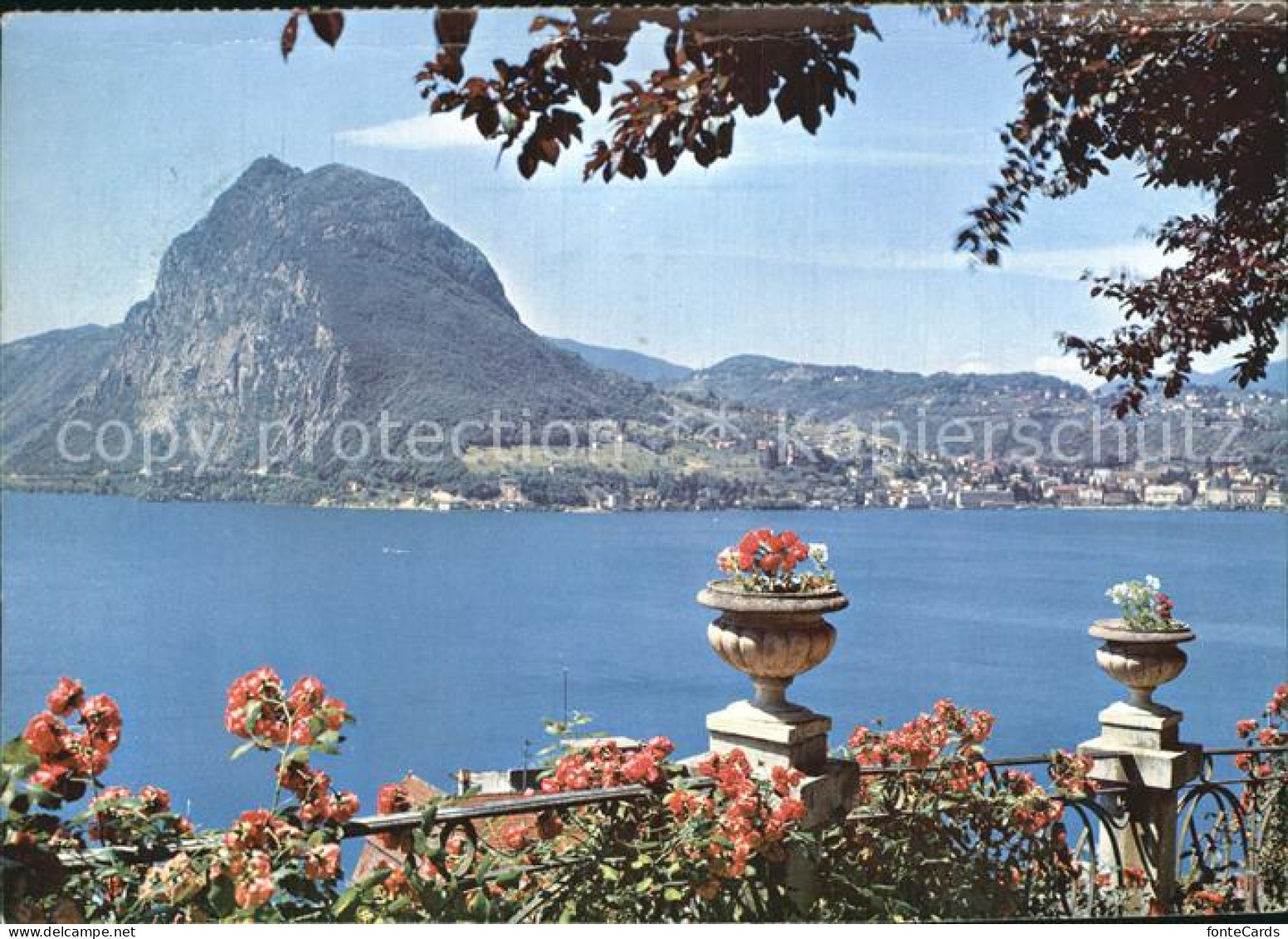 12418082 San Salvatore Luganer See Monte San Salvatore - Andere & Zonder Classificatie