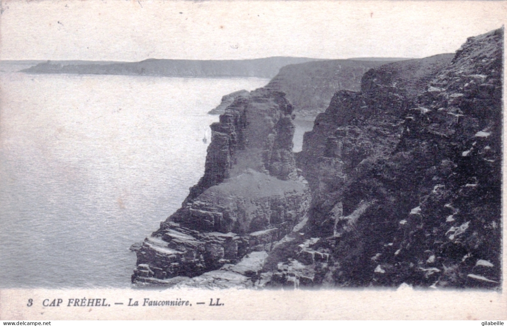 22 - CAP FREHEL - La Fauconniere - Cap Frehel