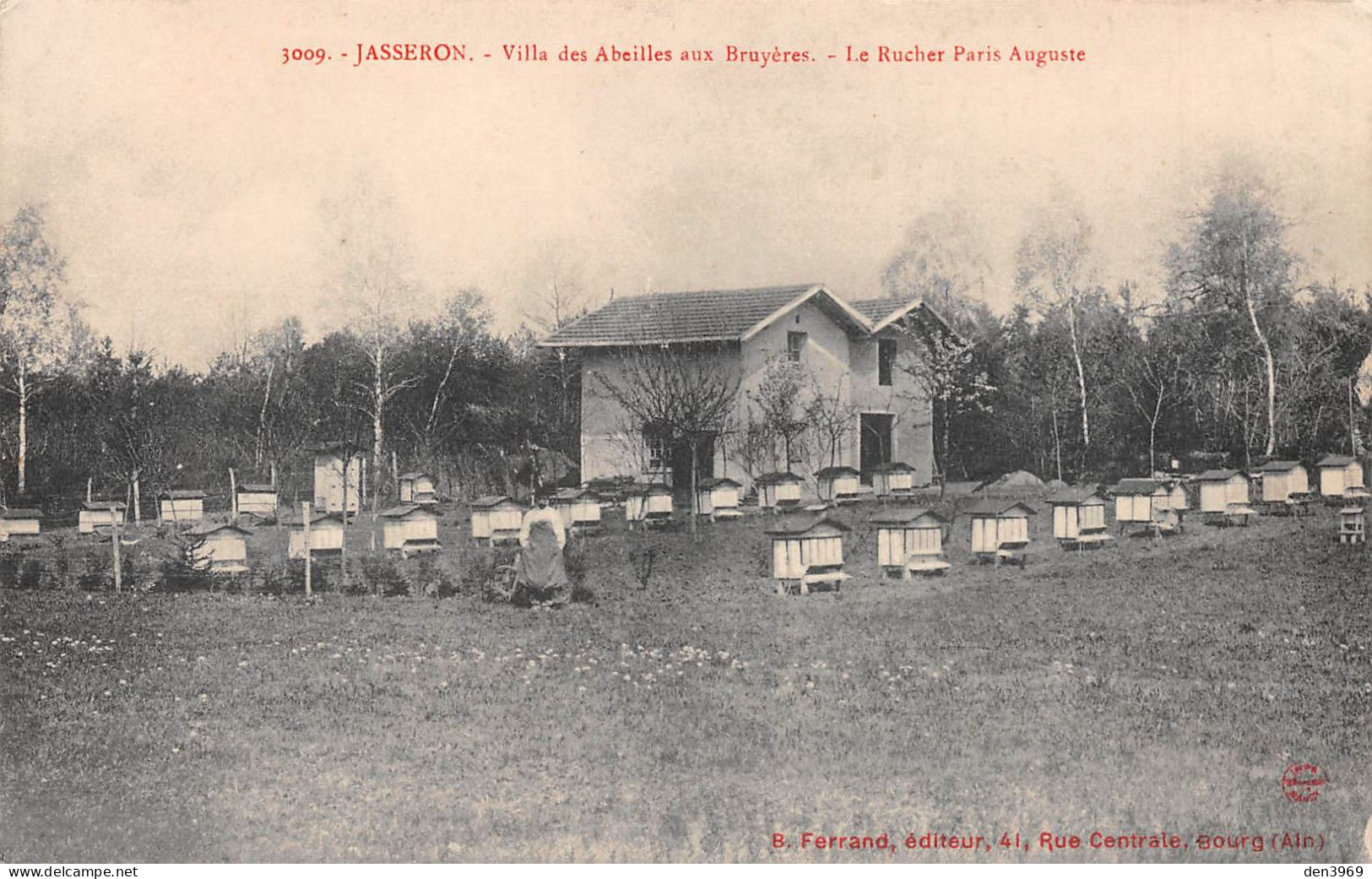 JASSERON (Ain) - Villa Des Abeilles Aux Bruyères - Rucher Paris Auguste - Voyagé 1913, écrit Par Propriétaire (2 Scans) - Zonder Classificatie