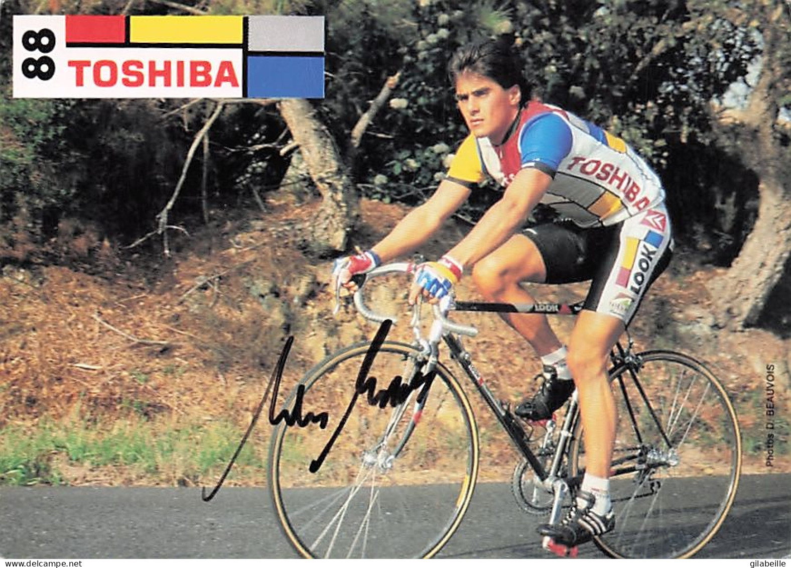 Vélo Coureur Cycliste Allemand Andreas Kappes - Team Toshiba  -   Cycling - Cyclisme - Ciclismo - Wielrennen - Signée - Cyclisme