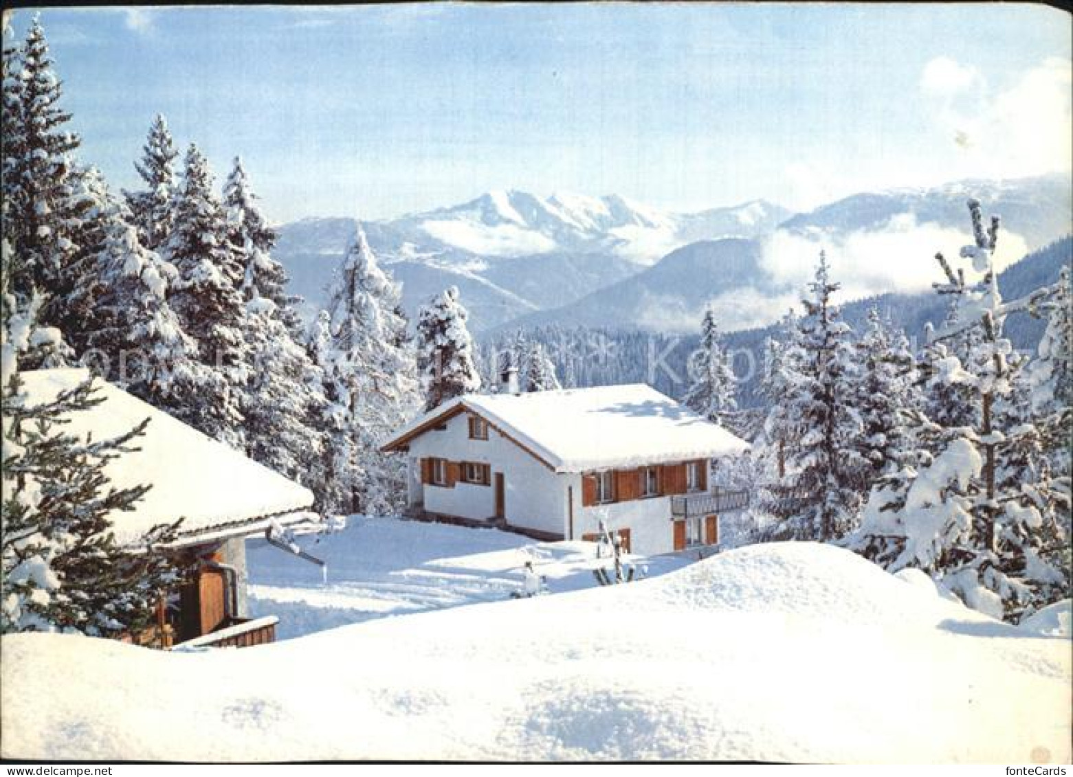 12412072 Flims Dorf Glarner Alpen Winter Flims Dorf - Autres & Non Classés