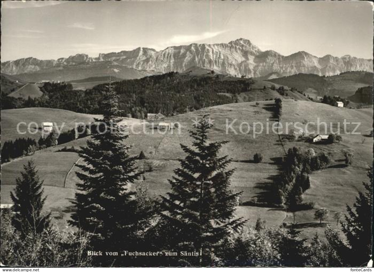 12409404 Degersheim SG Blick Vom Fuchsacker Auf Saentis Degersheim - Autres & Non Classés