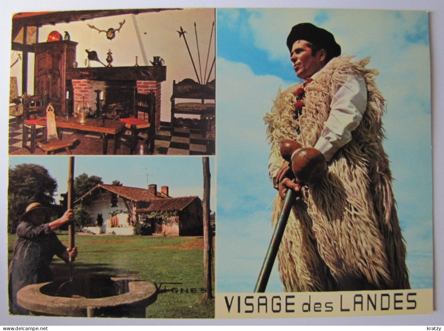 FRANCE - LANDES - Visage Des Landes - Other & Unclassified