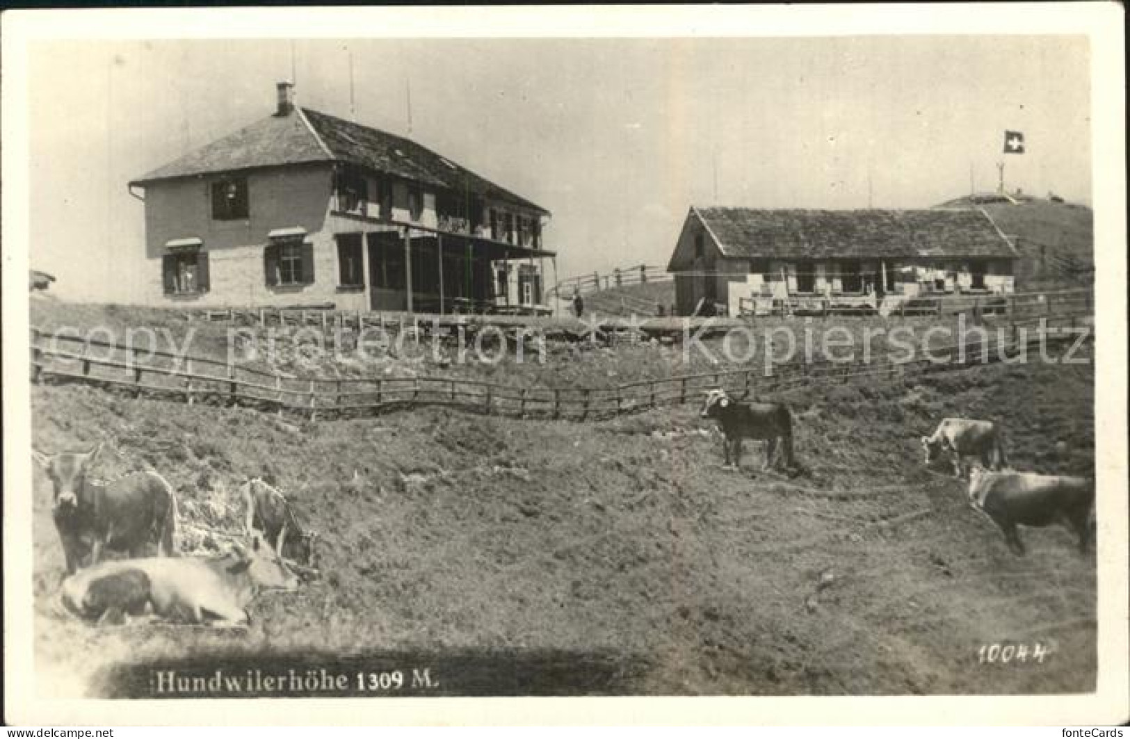 12397340 Hundwilerhoehe Berggasthaus Kuehe Aussichtspunkt Hundwiler Hoehi - Sonstige & Ohne Zuordnung