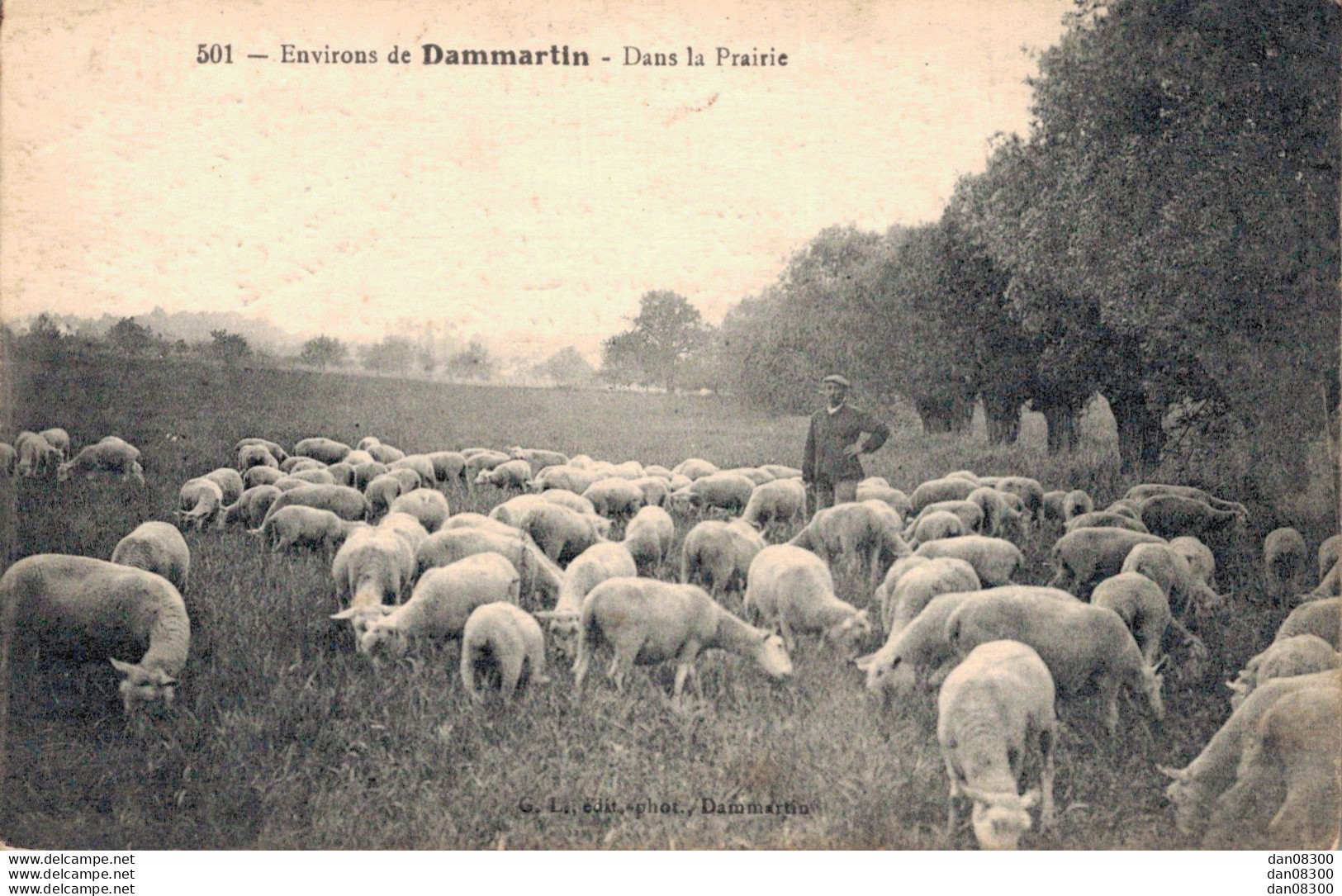 77 ENVIRONS DE DAMMARTIN DANS LA PRAIRIE MOUTONS ET BERGER - Other & Unclassified