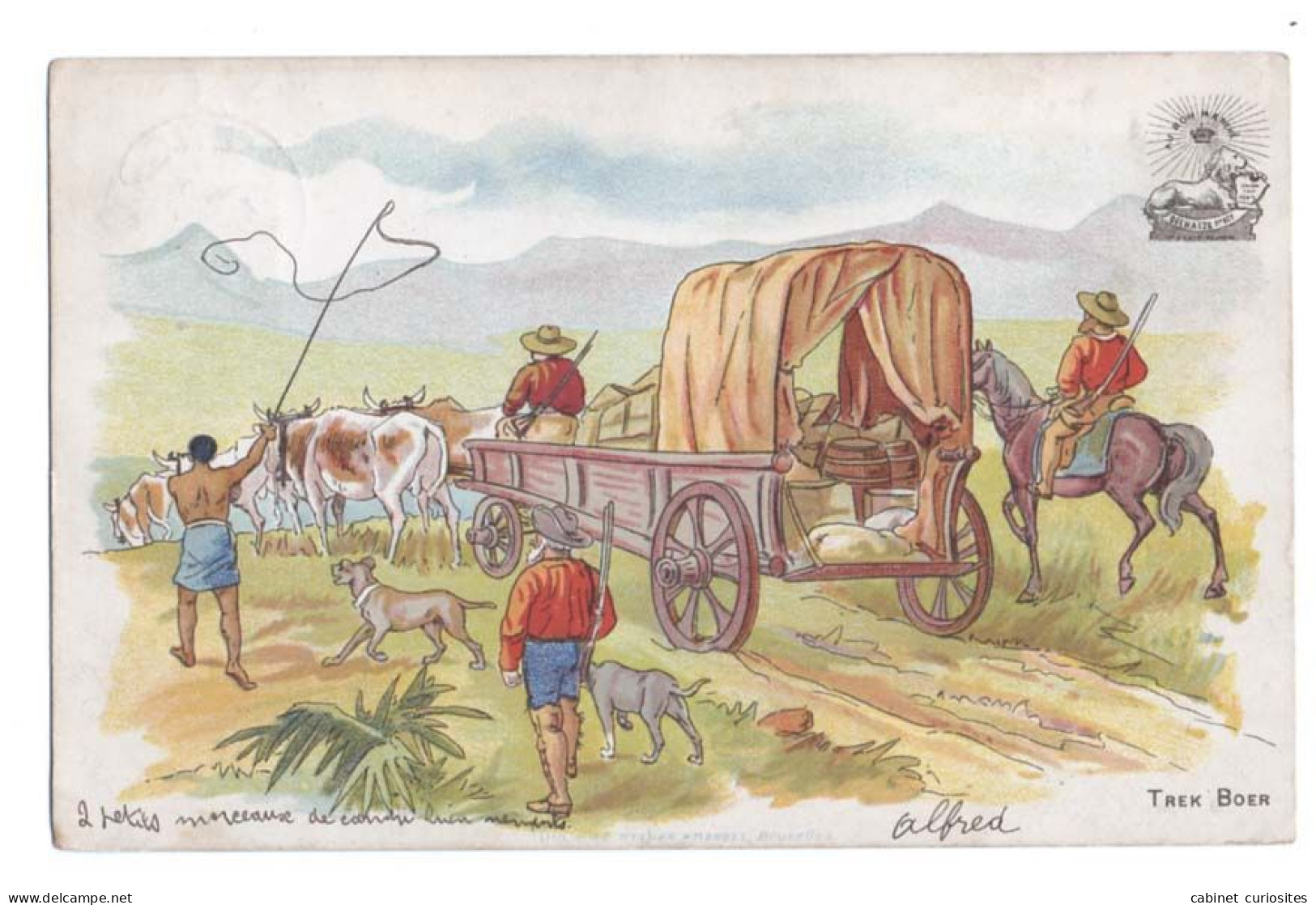 TREK BOER 1902 Chariot Attelage De Bœufs - Les Trekboers : Pasteurs Semi-nomades & Agriculteurs - LE CAP Afrique Du Sud - Zuid-Afrika