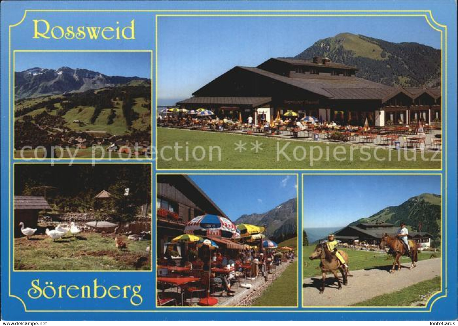 12392208 Soerenberg LU Bergrestaurant Rossweid Terrasse Tierpark Ponyreiten Soer - Sonstige & Ohne Zuordnung
