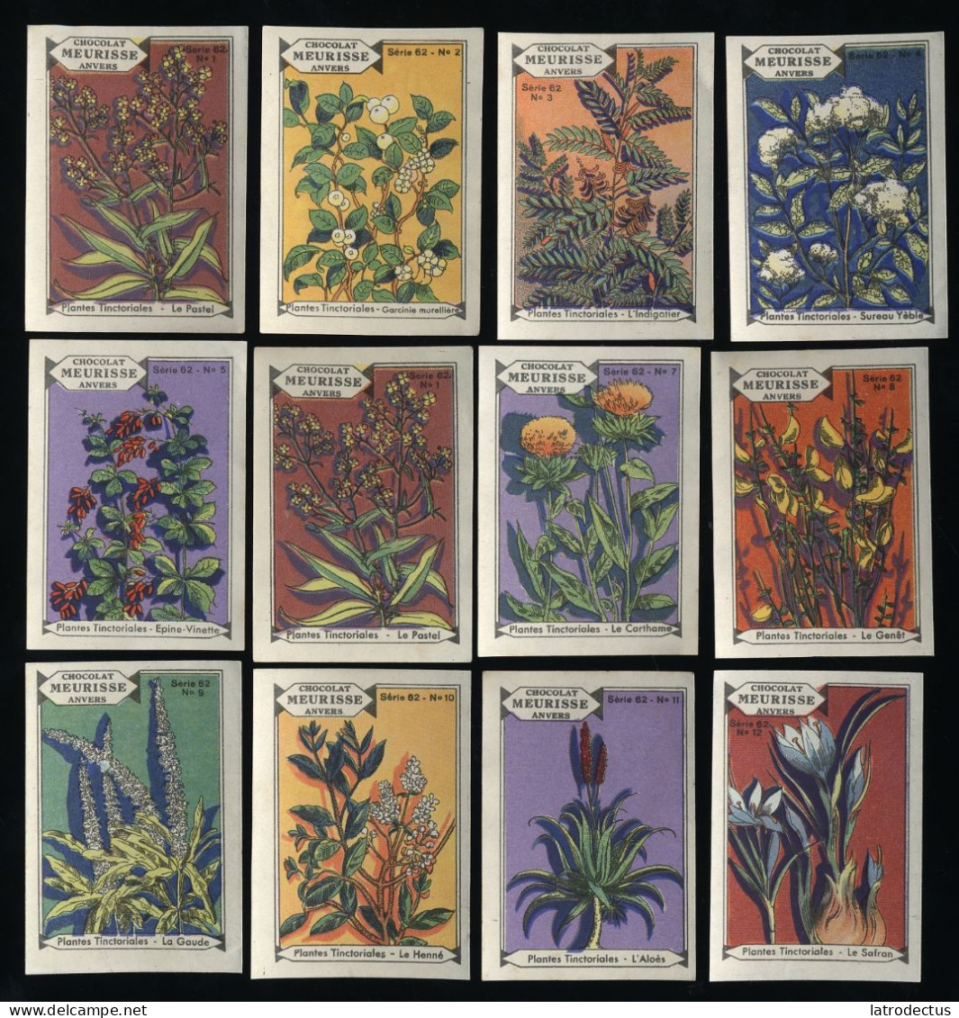 Meurisse - Ca 1930 - 62 - Plantes Tinctoriales, Dyeing Plants - Full Serie - Autres & Non Classés