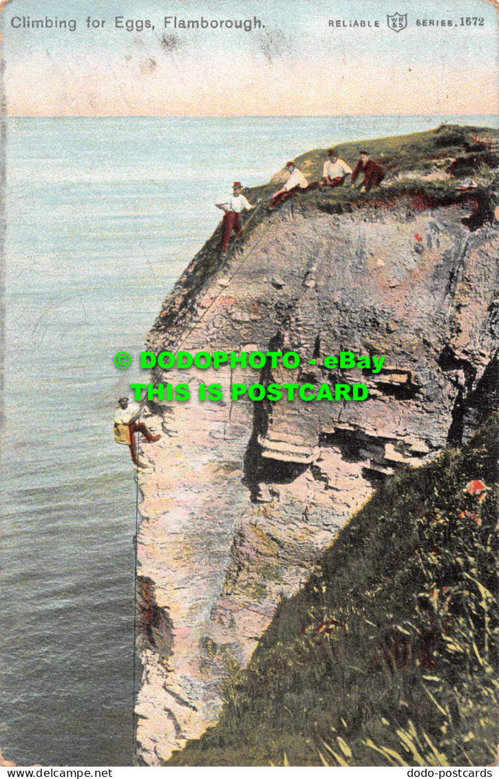 R546506 Flamborough. Climbing For Eggs W. R. And S. Reliable Series - World