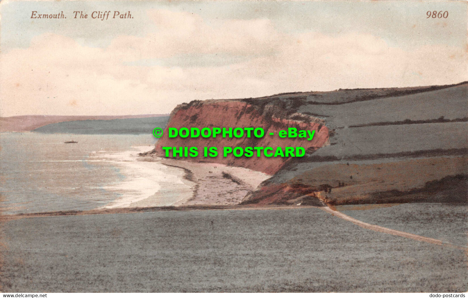 R546517 Exmouth. The Cliff Path. E. Tapley. Newsagent And Tobacconist - World