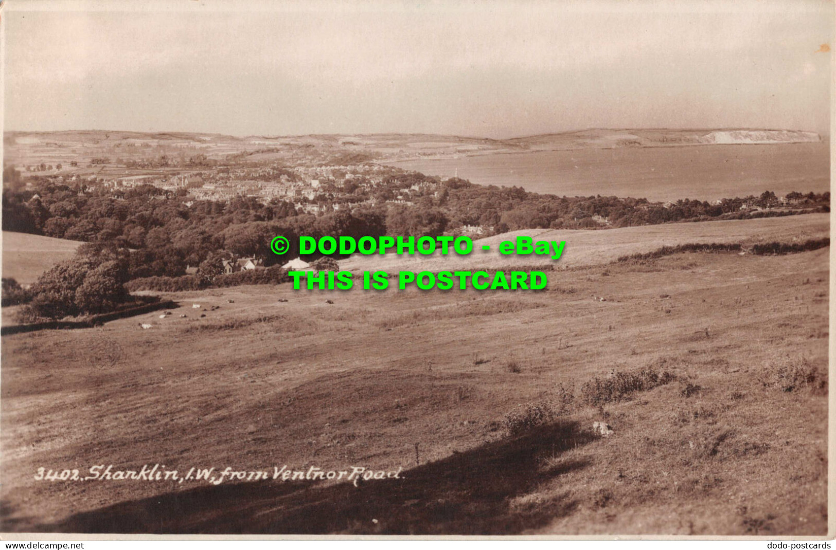 R546545 Shanklin. From Ventnor Road. E. A. Sweetman. Sunshine Series. RP - World