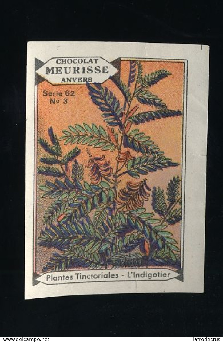Meurisse - Ca 1930 - 62 - Plantes Tinctoriales, Dyeing Plants - 3 - L'indigotier - Andere & Zonder Classificatie