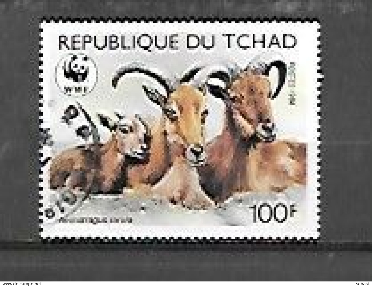 TIMBRE OBLITERE DU TCHAD DE  1988 N° MICHEL 1174 - Tschad (1960-...)