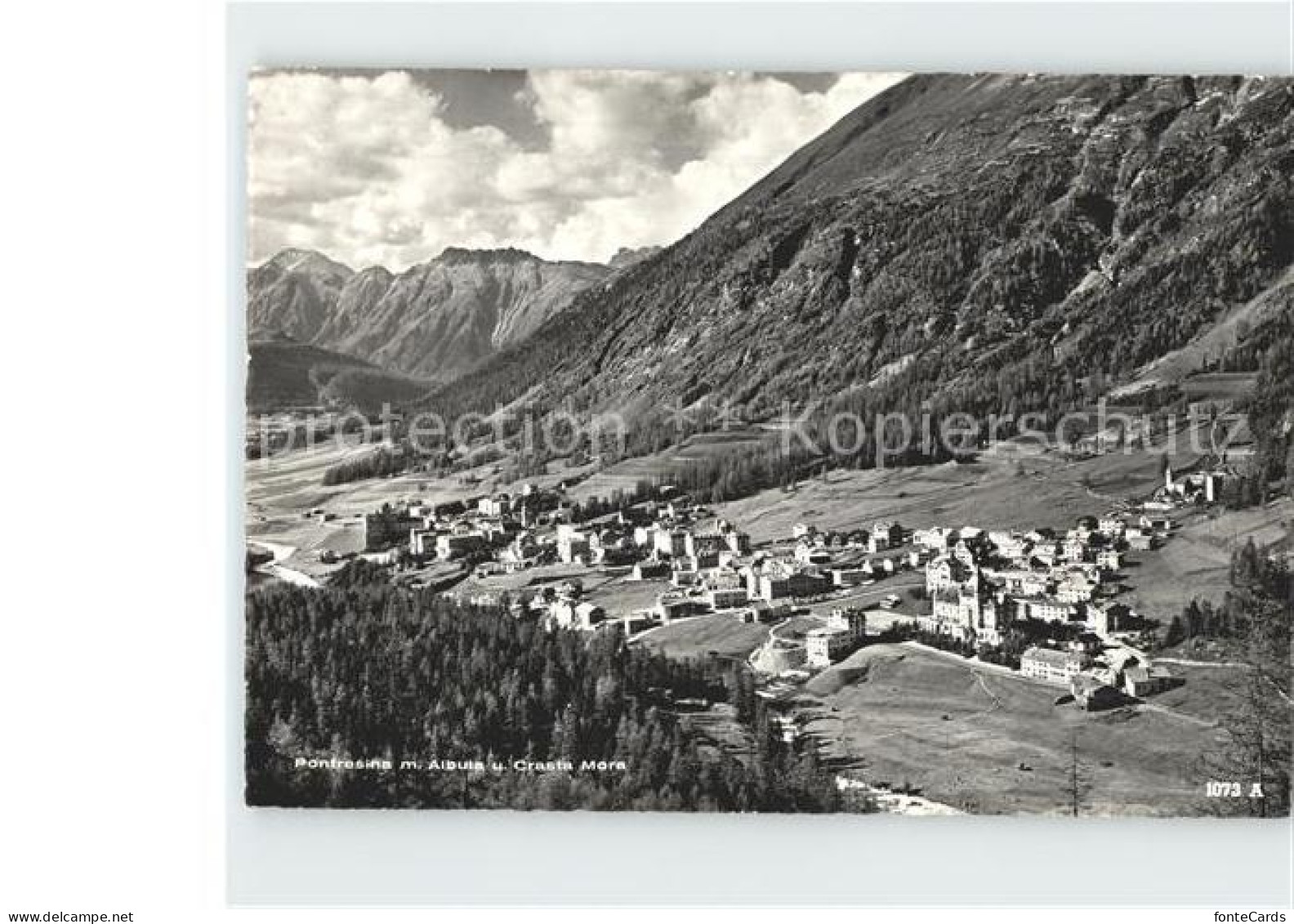 12379704 Pontresina Mit Albula Und Cresta Mora Pontresina - Autres & Non Classés