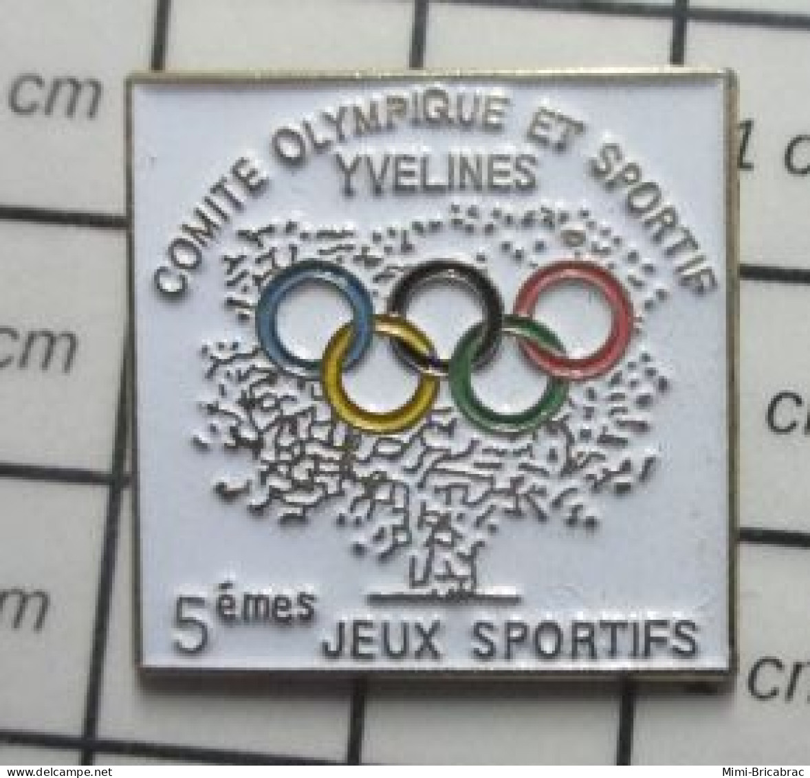 3617 Pin's Pins / Beau Et Rare / JEUX OLYMPIQUES / COMITE OLYMPIQUE ET SPORTIFS YVELINES 5e JEUX SPORTIFS - Jeux Olympiques