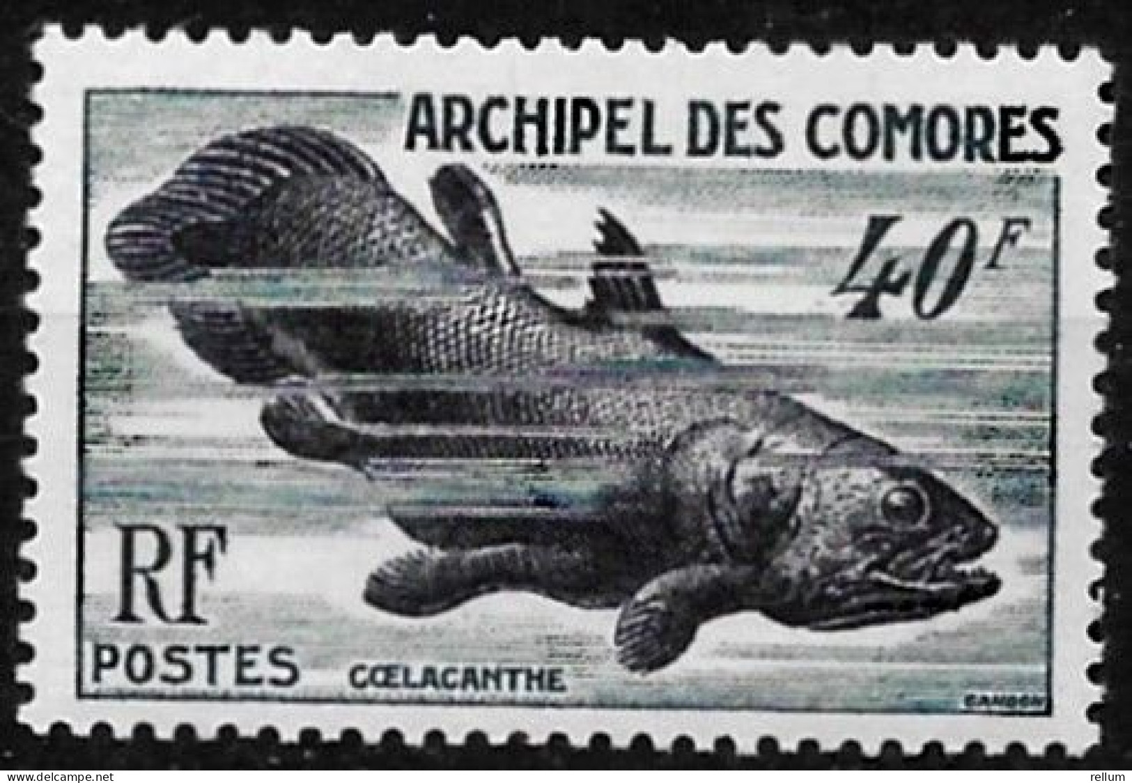 Comores 1954 - Yvert N° 13 - Micel N° 31 ** - Nuevos