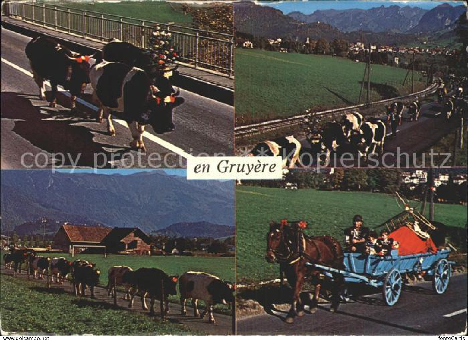 12377450 Gruyeres FR Kuehe Gruyeres - Sonstige & Ohne Zuordnung