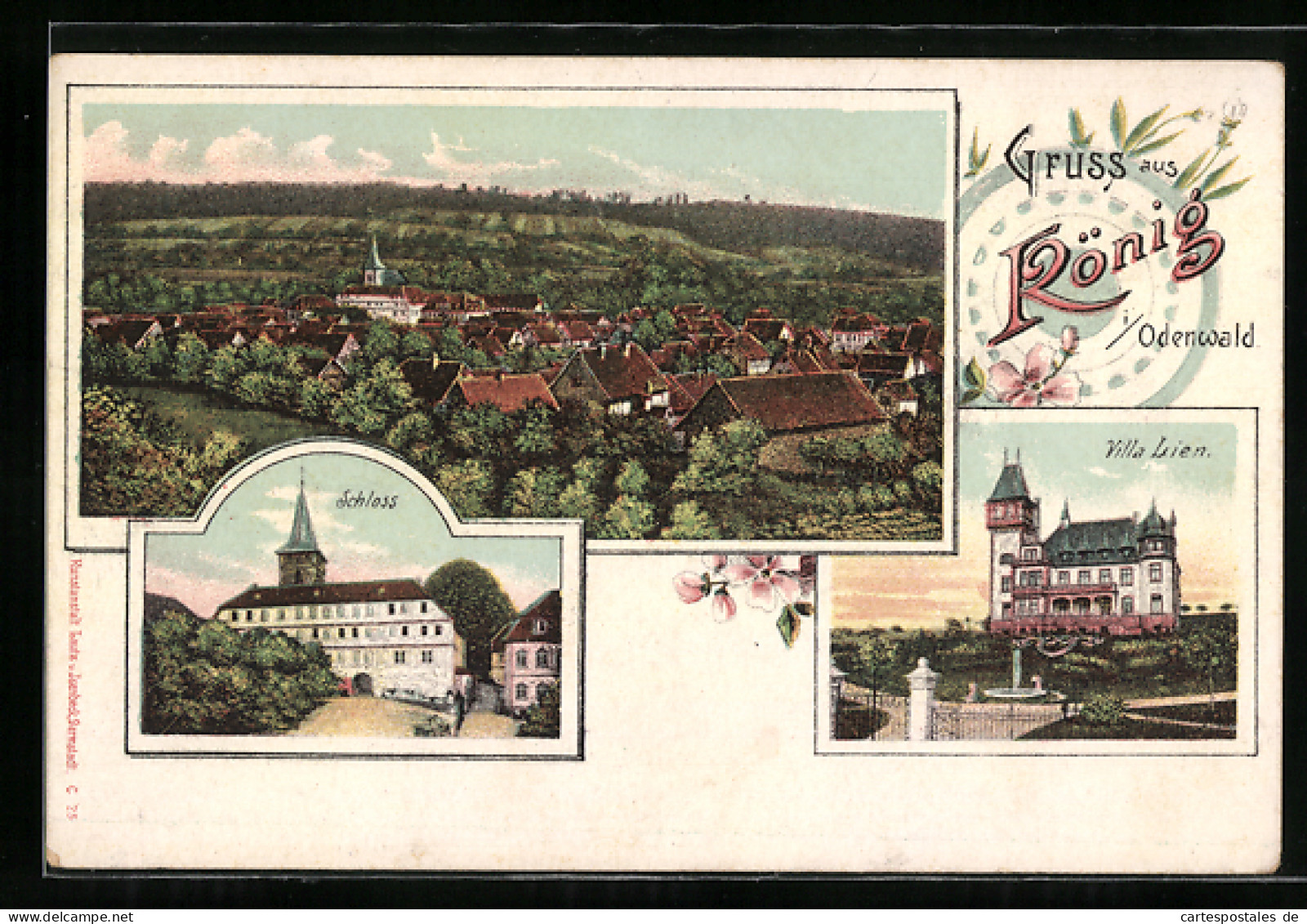 Lithographie König /Odenw., Villa Lien, Schloss, Ortsansicht Aus Der Vogelschau  - Bad Koenig