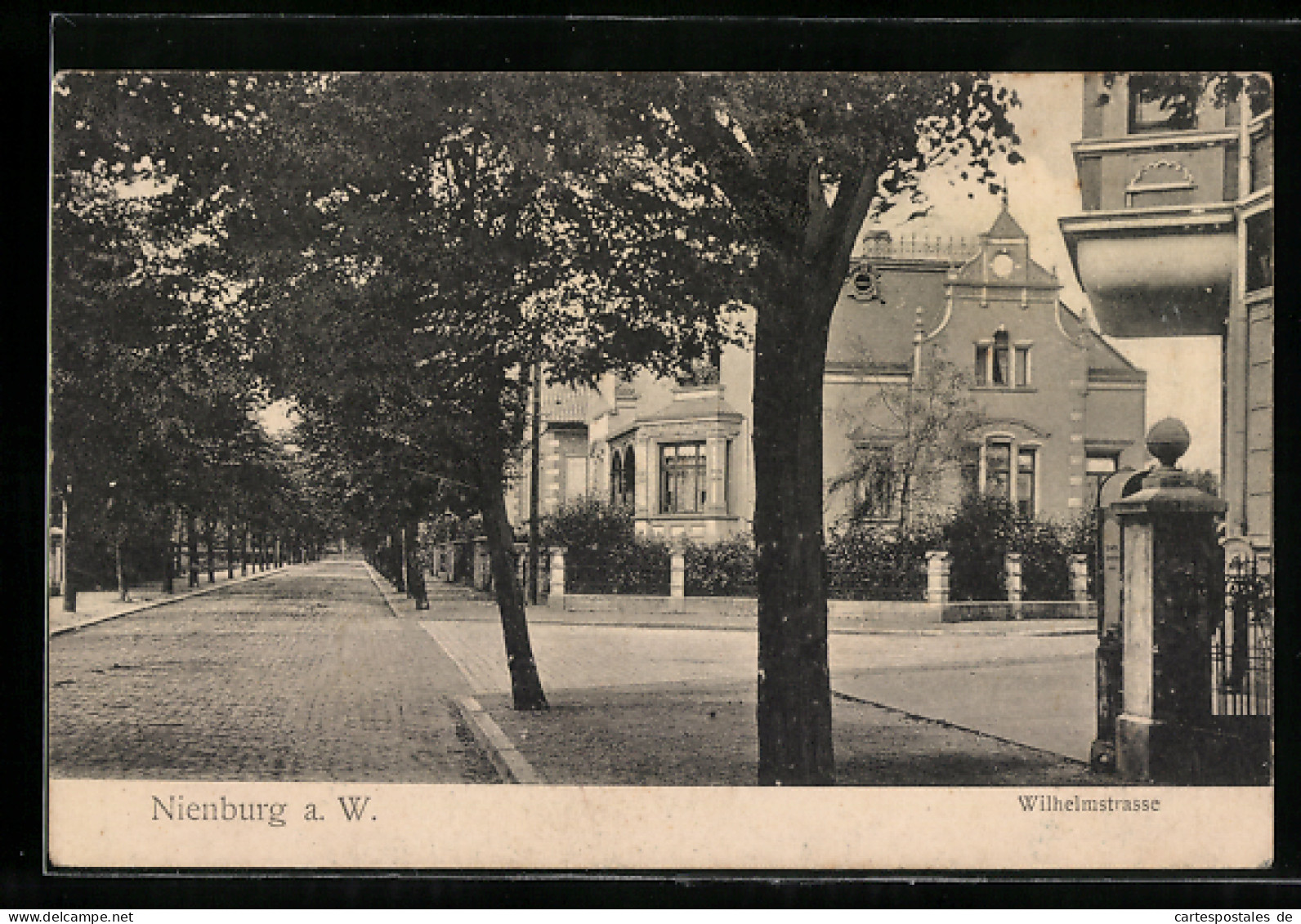 AK Nienburg A. W., Wilhelmstrasse Mit Villa Und Alleebäumen  - Nienburg