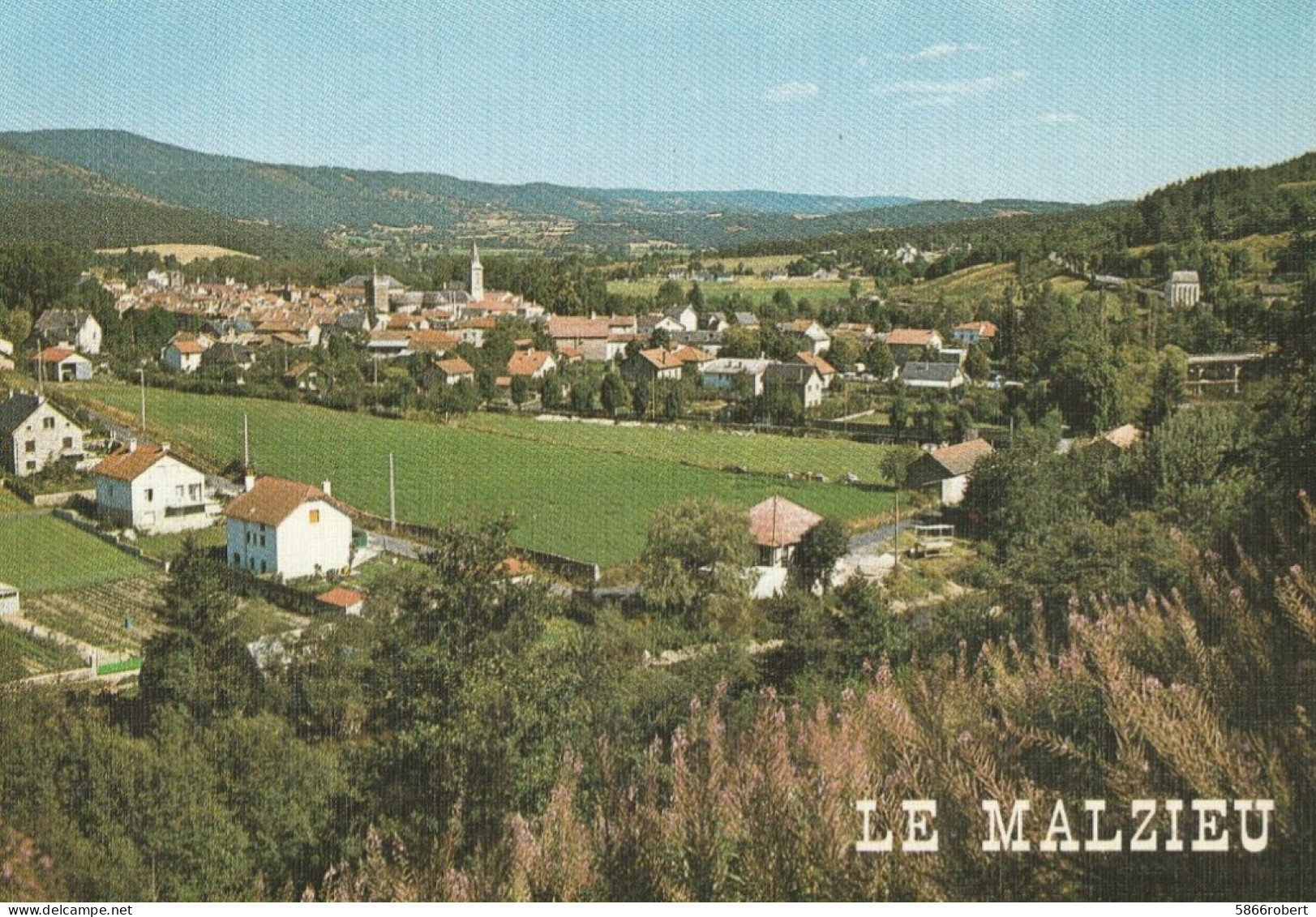 CARTE POSTAL ORIGINALE 10CM/15CM  COULEUR : LE MALZIEU SUR LES BORDS DE LA TRUYERE LOZERE (48) - Altri & Non Classificati