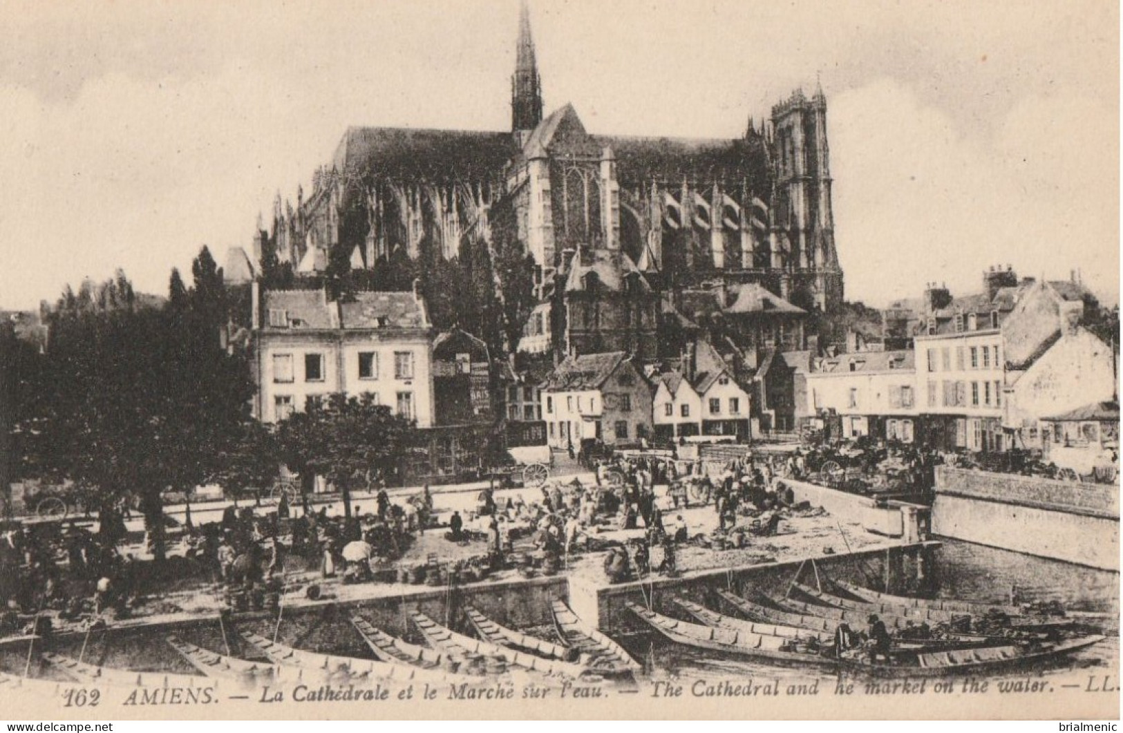 AMIENS  La Cathédrale Et Le Marché Sur L'eau - Amiens