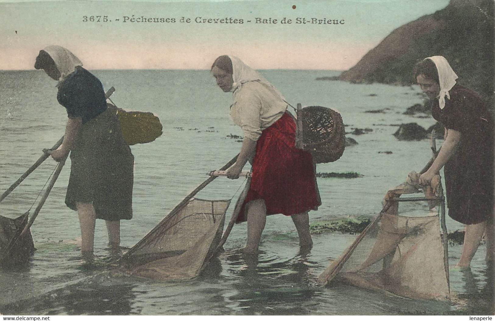 D8282 Baie De St Brieuc Pêcheuses De Crevettes - Andere & Zonder Classificatie