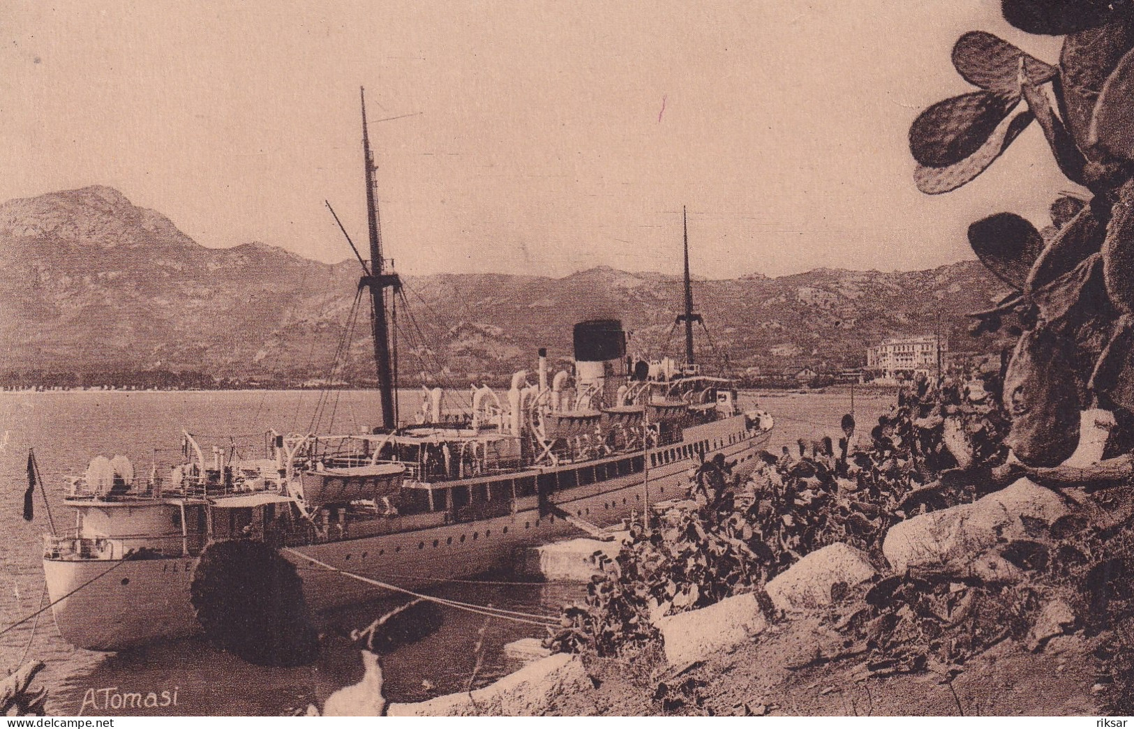 CALVI(BATEAU PAQUEBOT) - Calvi