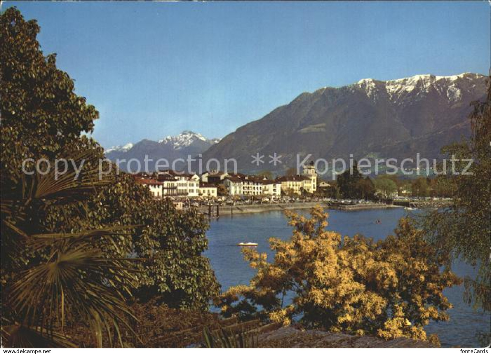12371168 Ascona TI Ticino Ascona - Other & Unclassified