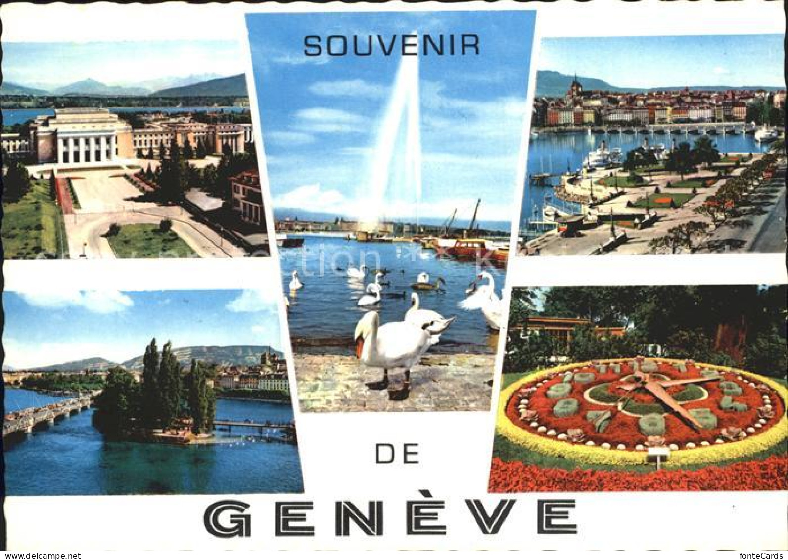 12369624 Geneve GE Le Palais De L O.N.I. Let Jet Eau Et Les Cygnes Mont Blanc Et - Andere & Zonder Classificatie