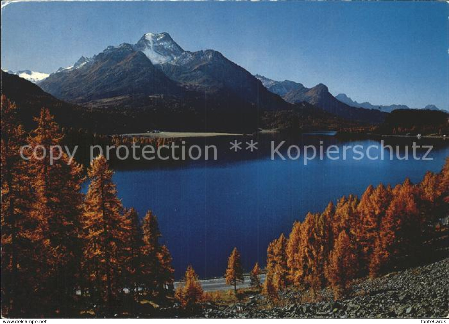 12369370 Silsersee Herbsttag Berge Silsersee - Altri & Non Classificati