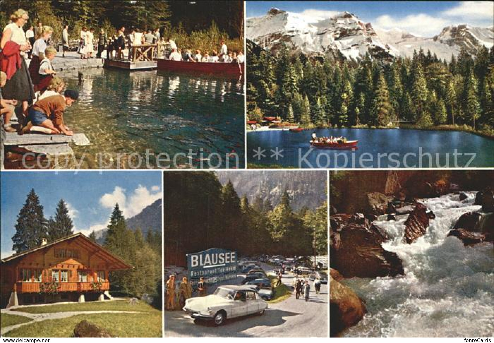 12368583 Blausee BE Boot Alpen  Blausee BE - Sonstige & Ohne Zuordnung