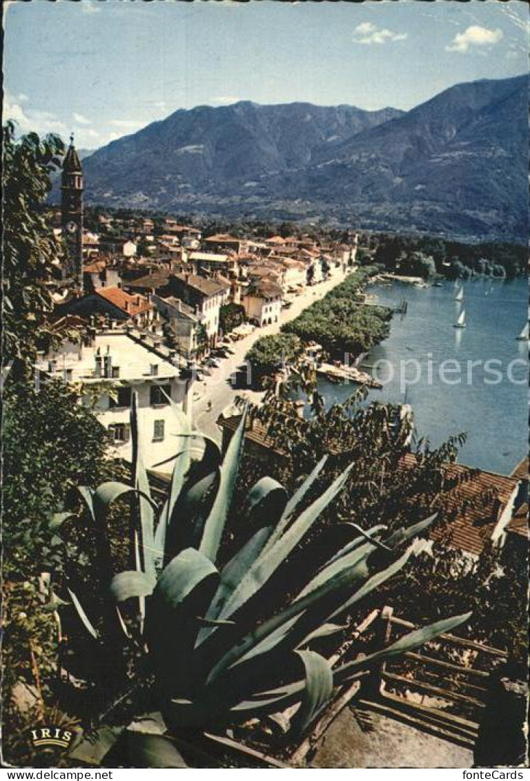 12367952 Ascona TI Am Lago Maggiore Ascona - Other & Unclassified