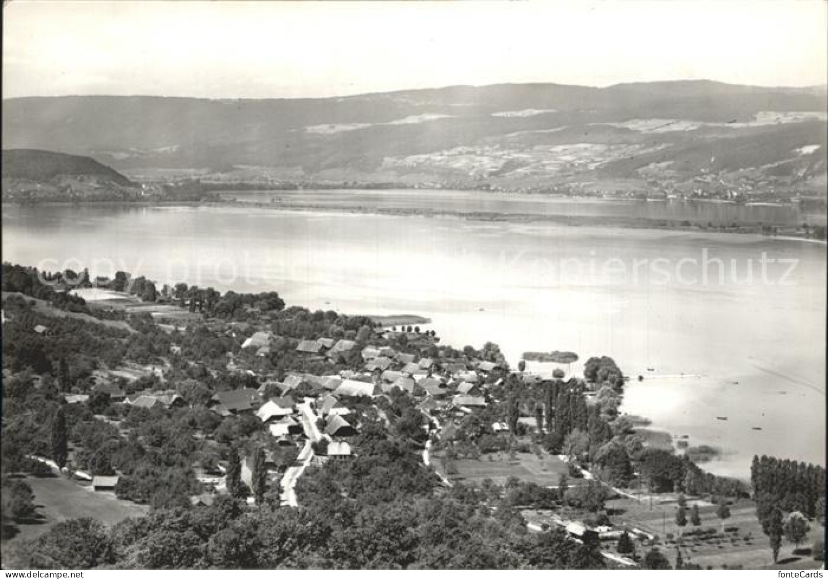 12366124 Luescherz Fliegeraufnahme Bielersee Luescherz - Sonstige & Ohne Zuordnung