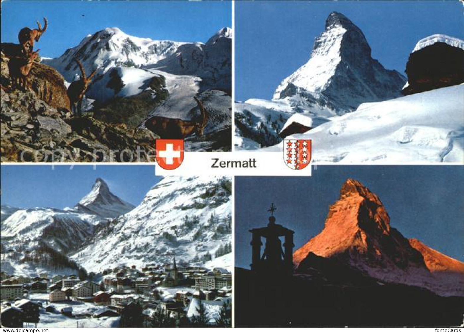 12365982 Zermatt VS Mit Blick Zum Matterhorn Walliser Alpen Gemsen  - Altri & Non Classificati