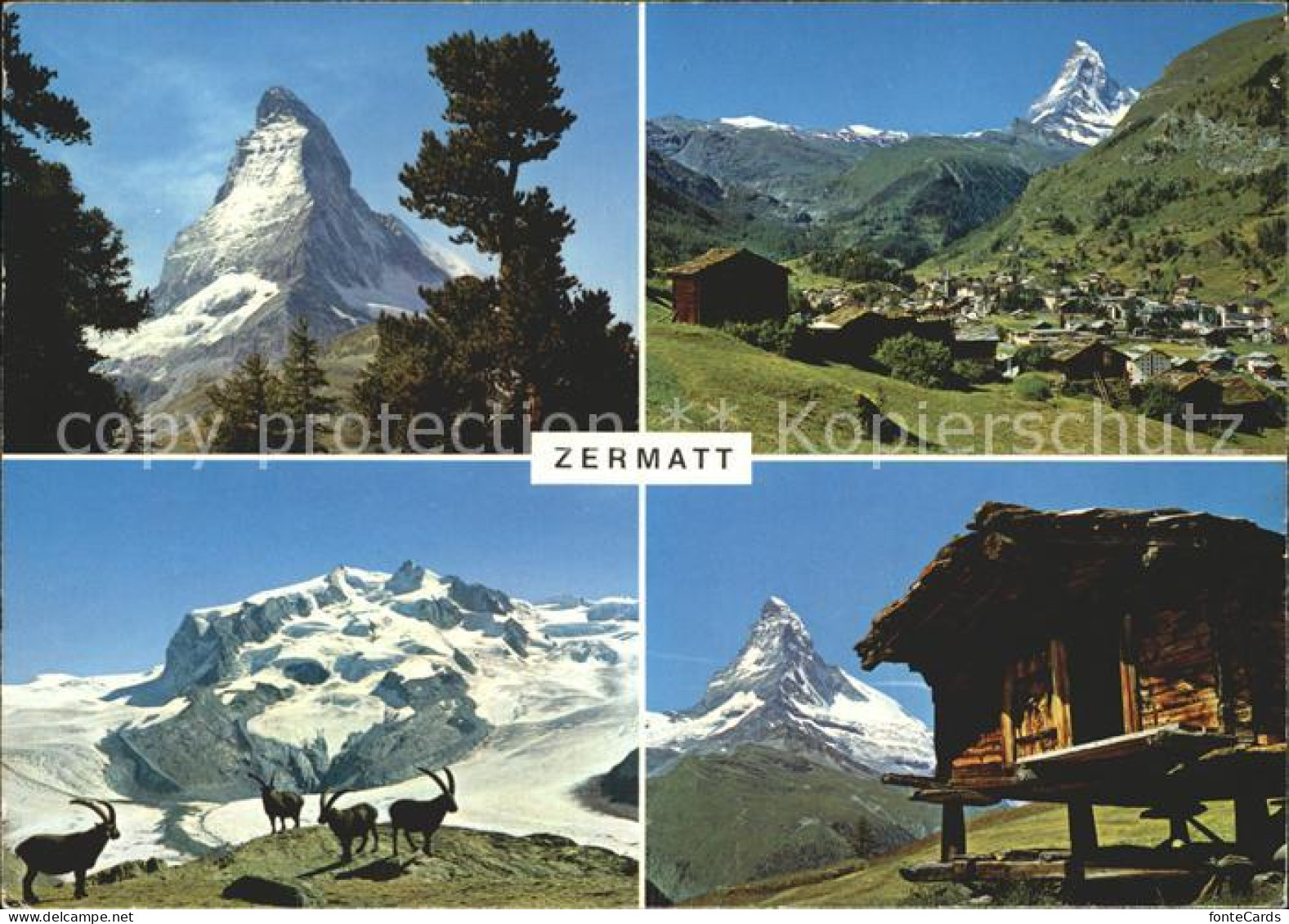 12365978 Zermatt VS Matterhorn Gemsen Berghuette Walliser Alpen  - Altri & Non Classificati