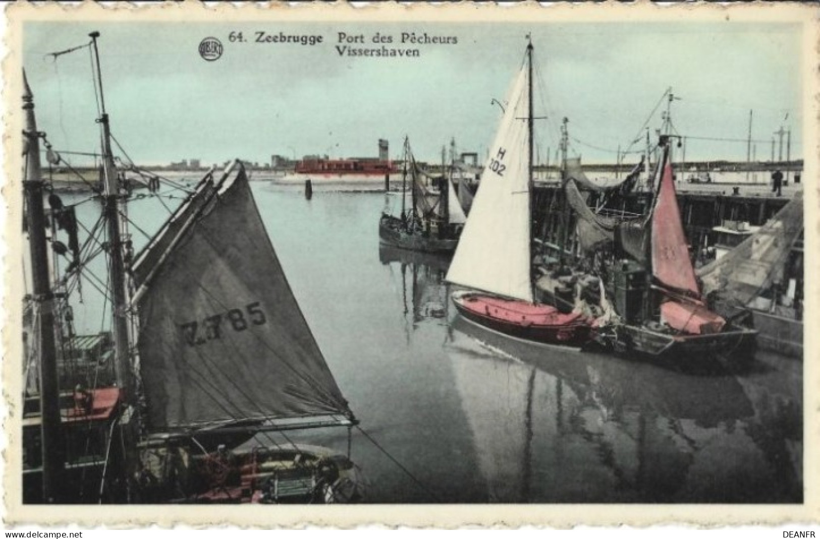 ZEEBRUGGE : Port Des  Pêcheurs. Carte Glacée. - Zeebrugge