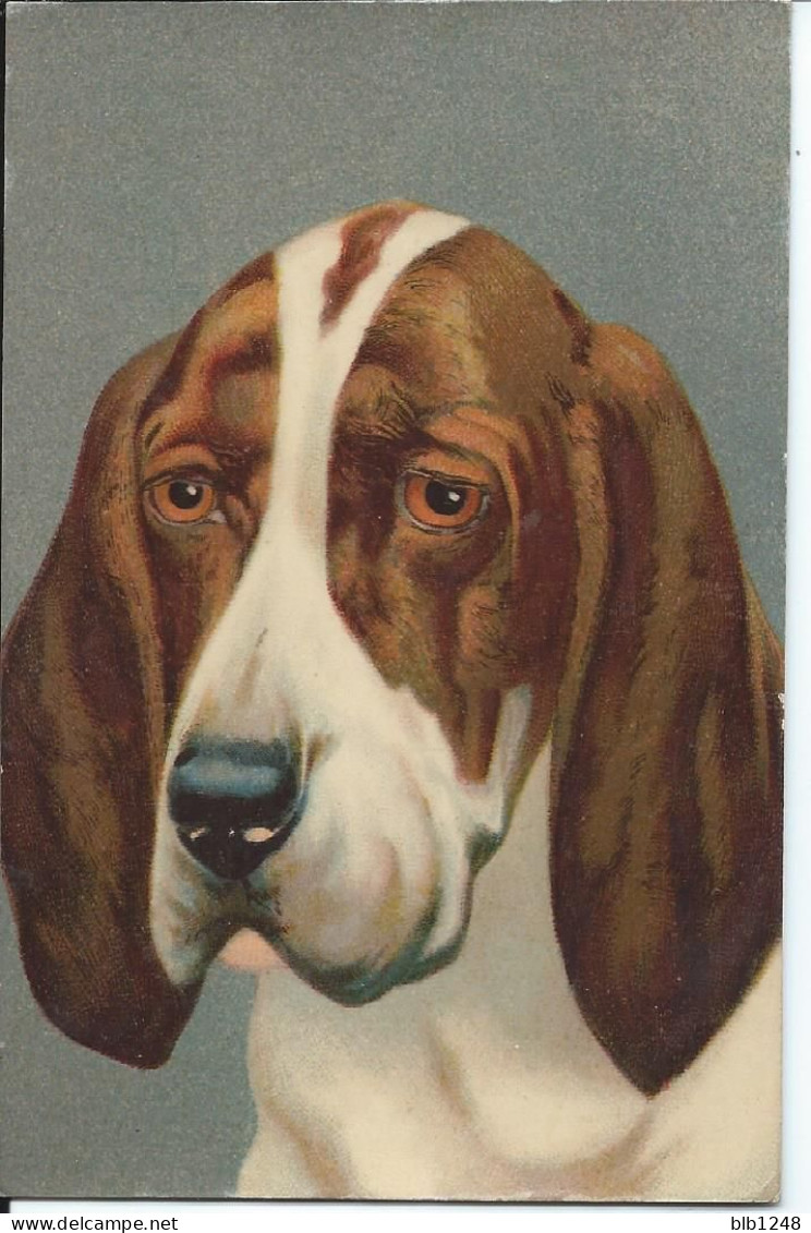 Dessin Chien Le Basset Dos Publicitaire - Hunde